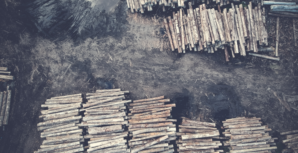 Orman Emvali Üretim İşçiliği Eğitimi